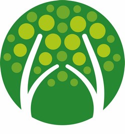 Ankieta dotycząca Wołczkowa
